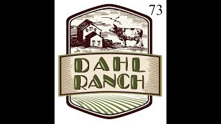 Farming Simulator 19  Dahl Ranch 73