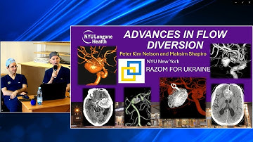 2025 June Advanced Flow Diversion Discussion Peter Kim Nelson and Maksim Shapiro Kyiv Ukraine