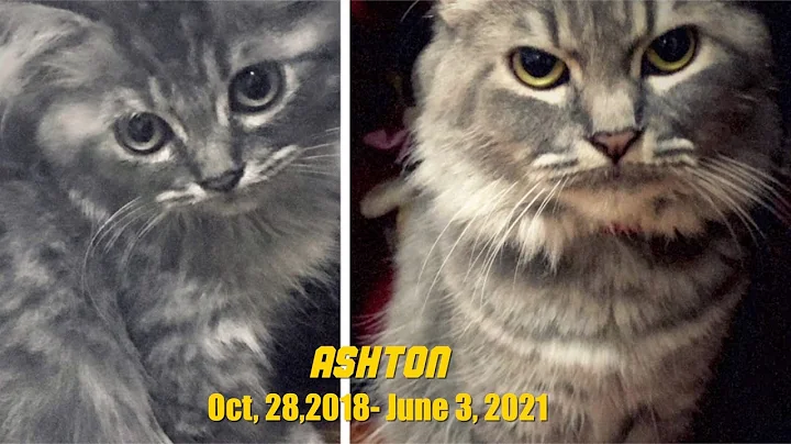 GOODBYE ASHTON