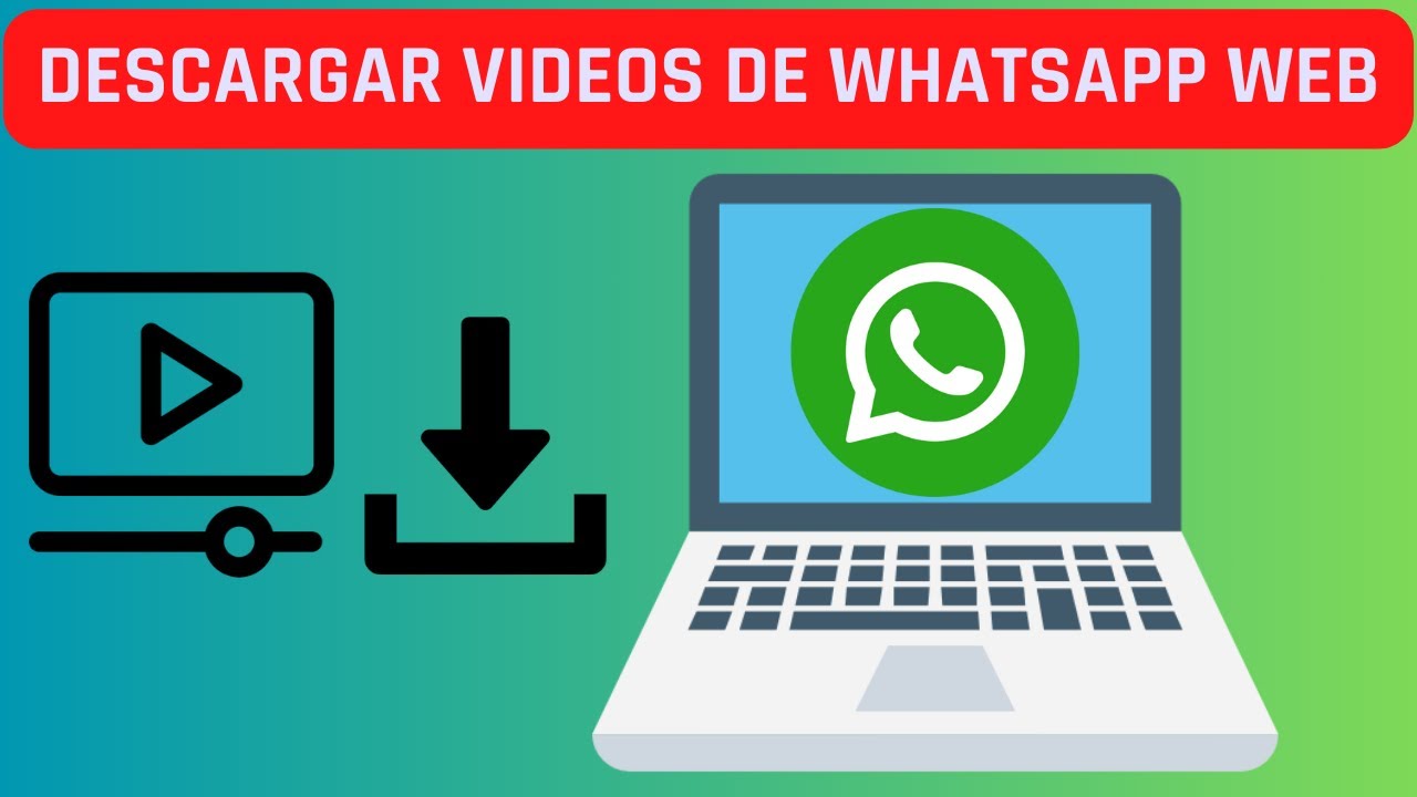 Come Scaricare Un Video Da Whatsapp Web