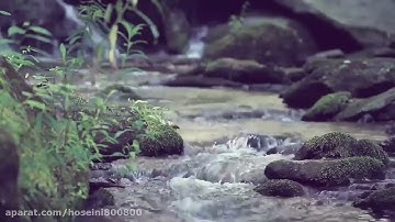 ترتیل سوره واقعه کامل با قرائت دلنشین اسلام صبحی
