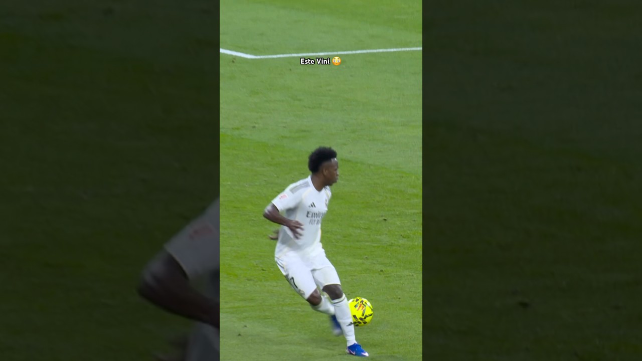 La calidad de VINI JR 🪄