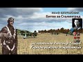 Ил - 2: Штурмовик / карьера  ""Битва за Сталинград" / истребитель / # 1