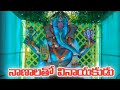 25,000 నాణాలతో అలంకరించిన వినాయకుడు | Rare Ganesha @ Boddam Village | Vizianagaram District