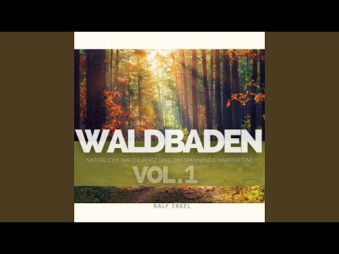 Deep Forest Breathing 