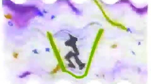 (REUPLOAD-ISHED) Crying Warner Reprise Video