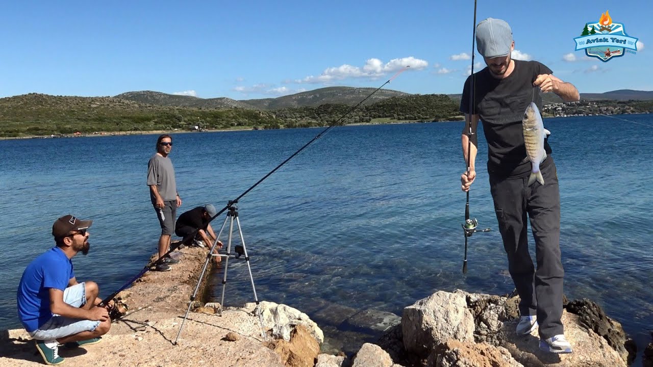 YASAK BİTTİ, BALIK COŞTU!! DOĞA HARİKASI BİR ADA ve YAKALA-PİŞİR! Trakonya Nasıl Temizlenir?