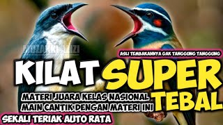 Download Lagu SPEED KILAT SUPER!!! MASTERAN BURUNG LOMBA KICAU MURAI BATU CUAK IJO CENDET KONIN KENARI KACER DLL MP3 Download Lagu SPEED KILAT SUPER!!! MASTERAN BURUNG LOMBA KICAU MURAI BATU CUAK IJO CENDET KONIN KENARI KACER DLL MP3