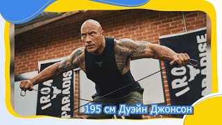 Топ 10 самых высоких актеров