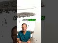 What the fuck happens when you eat chia seeds every day?... #Shorts #wellnessnatural0