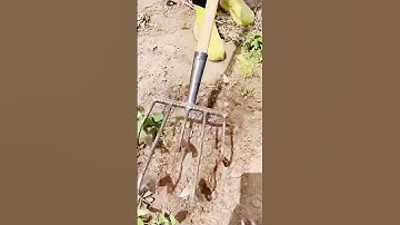 unique farming tool for clearing weeds #shorts