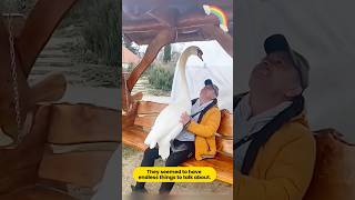 Since Then, He Has Gained Two Little Followers - The White Swans.