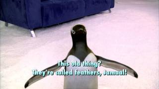 Interview W Mr. Poppers Penguins About Nba Finals And Working W Jim Carrey