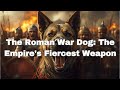 The Roman War Dog: The Empire's Fiercest Weapon