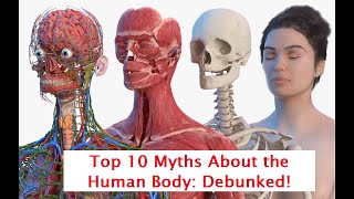 Top 10 Myths About the Human Body: Debunked! #humanbody  #factsaboutbody   #interestingfacts