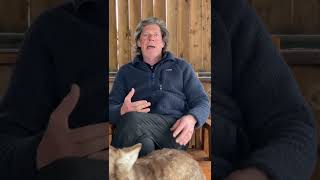 Celebrity Breaking down Defense Drive Wealth