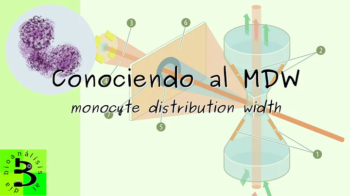 🟦Conociendo al MDW