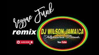 Melo de PitBull 2024 Reggae Funk Remix (dj Wilson Jamaica de Teresina Piauí.