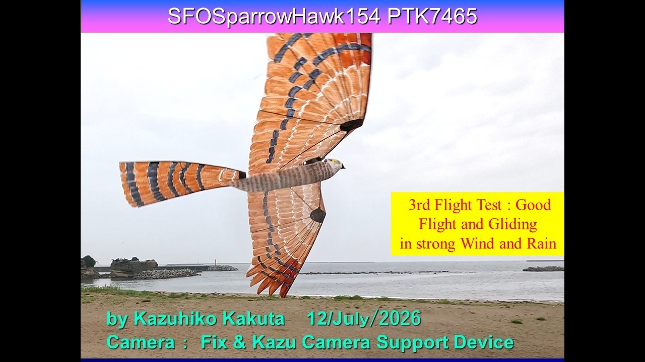 サーボ駆動鳥型羽ばたき機 SFOSparrowHawk154 PTK7465 51g : 3rd Good