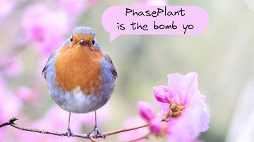 Synthesizing birds - patching basics in PhasePlant
