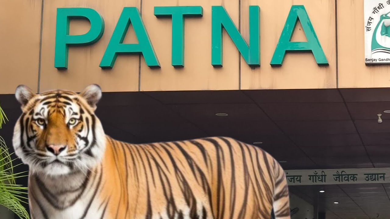 @comwala 😜456k view  is live