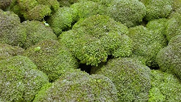Broccoli Sorting Raytec
