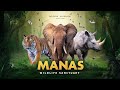 Manas Wildlife Sanctuary A UNESCO Heritage site