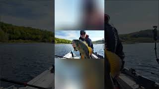 We Hosted Our Own Fishing Derby… and It Got Competitive #fishing #walleyefishing #gofishinontario
After 40 years of fishing across Canada, we finally decided to host our own derby. Dean Taylor and Steve Niedzwiecki take on Pete Bowman in an Anglers Leaderboard battle of inches at Air Dale Lodge. With walleye, smallmouth, and a giant northern pike in the mix, this one came down to the wire.
But the real question is… who actually won the Fish’n Canada Derby? We Hosted Our Own Fishing Derby… and It Got Competitive #fishing #walleyefishing #gofishinontario