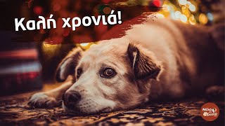Ευχές για το 2021 από το Μίλα στο Σκύλο σου by Μίλα στο Σκύλο σου by Ilias Raymondis 581 views 3 years ago 43 seconds