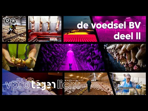 Zo ziet de Nederlandse voedselindustrie eruit (2/2) l VPRO Tegenlicht