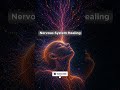 Nervensystem-Heilung 🌿 #theswissfrequency #meditationmusic #healingfrequency #nervensystem #viral