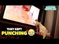 "FAKE RAT on TV" PRANK on my CATS *Hilarious Reactions!* 😂