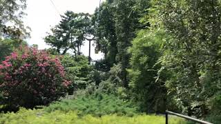 Busch Gardens Williamsburg Skyway POV