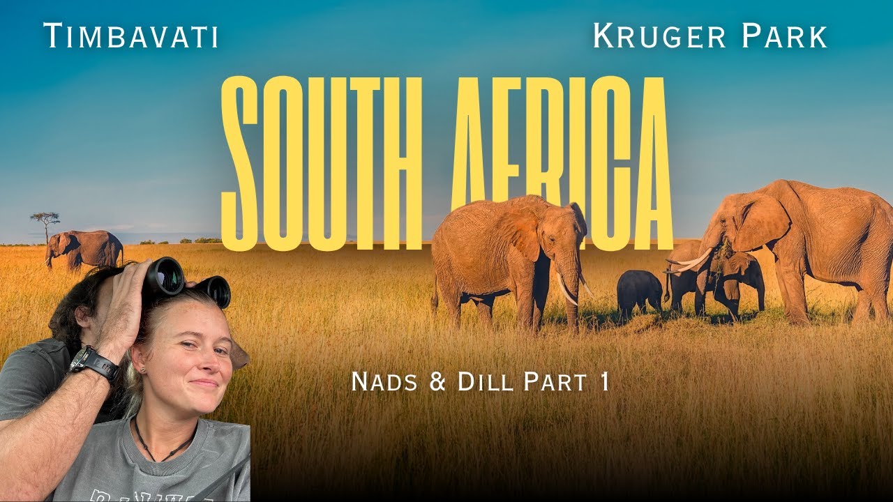 Exploring the Kruger National Park South Africa