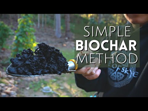 How to Make Activated Charcoal (Biochar) 🔥 to Feed Your Garden Using Waste from the Fireplace