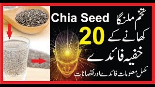 Chia Seed Benefits||Tukham Malanga Ky Faidy|Top 10 Benefits Of Chia Seed Tukahm Balangoo