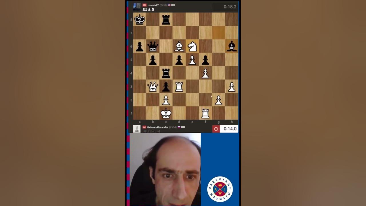 Профиль Новодворская Дмитрия шахматы ческом