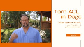 #tornacl in Dogs: Causes, Treatment, Recovery | Marc Smith, DVM, MS