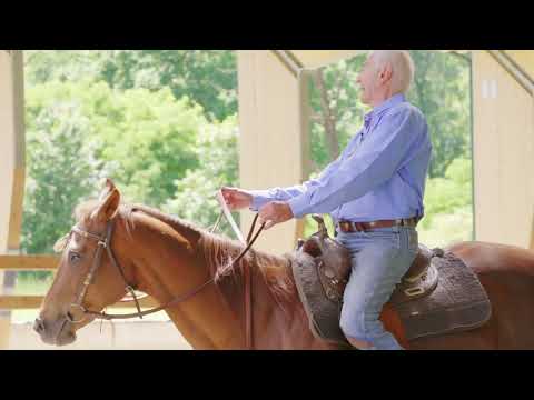 Video: Una lezione di equitazione non montata per principianti