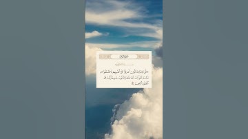 الآية 53 من سورة الزمر
