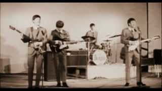 The Beatles - She Loves You ((TRUE STEREO)) [FULL HD - 1080p]
