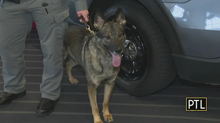 Pa. state police K-9 demonstrates his sniffing ski...