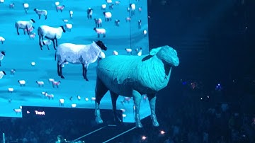 Roger Waters - Shine On You Crazy Diamond VI-IX & Sheep @ Capitol One Arena Washington DC 08.16.2022