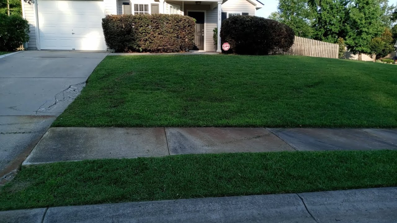 Trimming hedges - YouTube