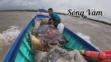 NGHỀ LƯỚI TÔM - Buổi Sáng Bình Yên, Mùa Nam Là Đây | Câu Mực Biển Tây #187