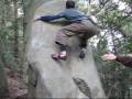 20090308笠間ボルダー「ラブ・タッチ」3級