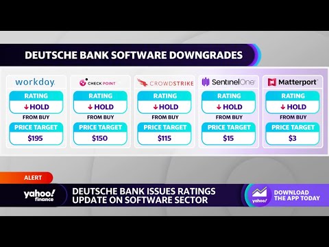 Crowdstrike, workday stocks dip as deutsche bank downgrades software names