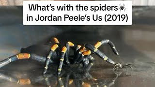 why all the spiders?