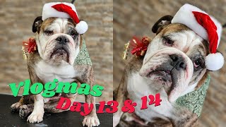 ENGLISH BULLDOG PHOTOSHOOT + FAMILY TIME | VLOGMAS DAY 13 & 14