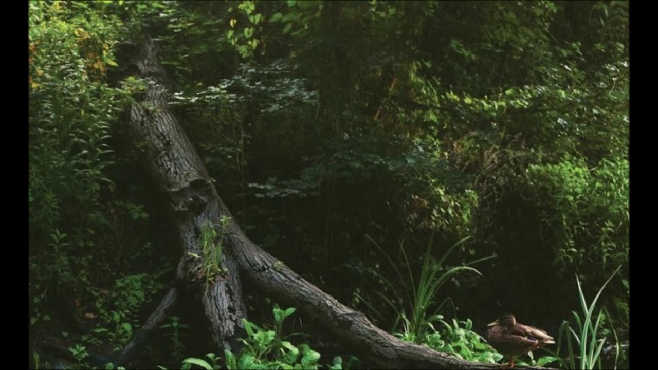 The Phantom - LP 1 (2014) [FULL ALBUM]